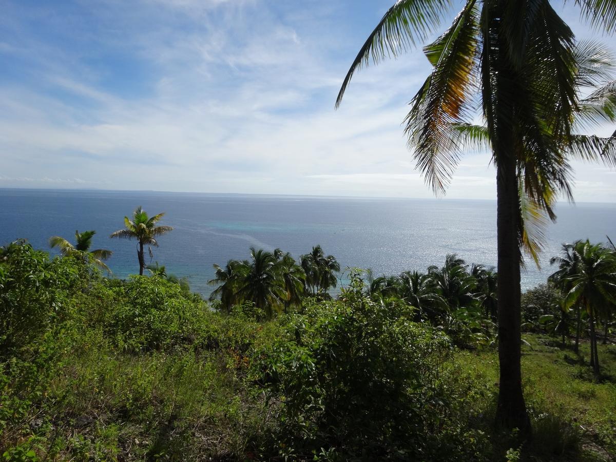 House Rapunzel Hotel Oslob Buitenkant foto